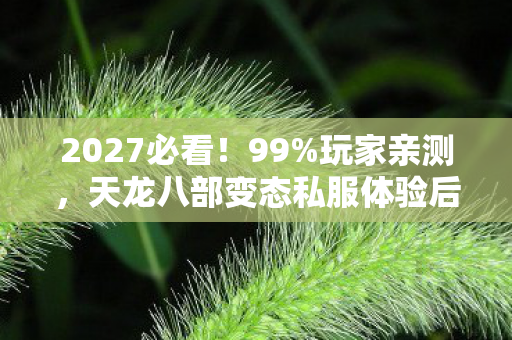 2027必看！99%玩家亲测，天龙八部变态私服体验后，这3个真相颠覆认知！