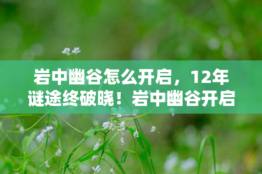 岩中幽谷怎么开启，12年谜途终破晓！岩中幽谷开启密码，泪目见证千万玩家青春