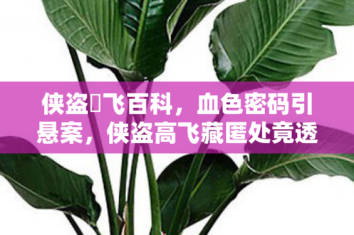 侠盗髙飞百科，血色密码引悬案，侠盗高飞藏匿处竟透出毛骨悚然真相