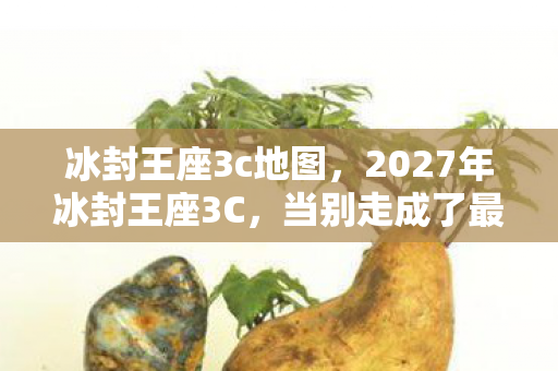 冰封王座3c地图，2027年冰封王座3C，当别走成了最后的伏笔，我鼻子一酸