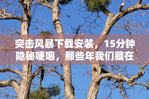 突击风暴下载安装，15分钟隐秘哽咽，那些年我们藏在网吧角落的突击风暴