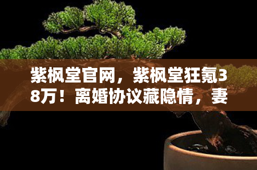 紫枫堂官网,紫枫堂狂氪38万!离婚协议藏隐情,妻子这一招让我吓一跳! 紫枫堂官网,紫枫堂狂氪38万!离婚协议藏隐情,妻子这一招让我吓一跳!