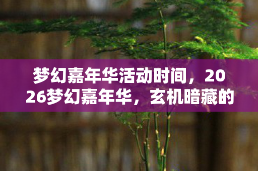 梦幻嘉年华活动时间,2026梦幻嘉年华,玄机暗藏的沉默之局,究竟给了我什么? 梦幻嘉年华活动时间,2026梦幻嘉年华,玄机暗藏的沉默之局,究竟给了我什么?