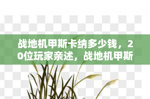 战地机甲斯卡纳多少钱，20位玩家亲述，战地机甲斯卡纳新皮肤疑点重重，这细节谁绷得住？
