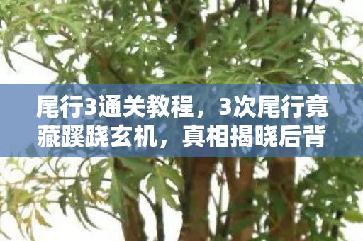 尾行3通关教程，3次尾行竟藏蹊跷玄机，真相揭晓后背发凉！