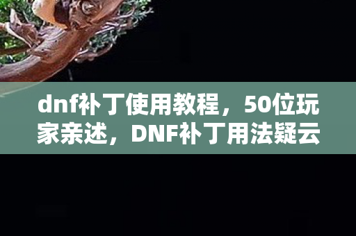dnf补丁使用教程，50位玩家亲述，DNF补丁用法疑云，大神都绷不住的真相竟是……