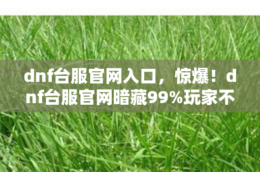 dnf台服官网入口，惊爆！dnf台服官网暗藏99%玩家不知的逆天机制，速看！