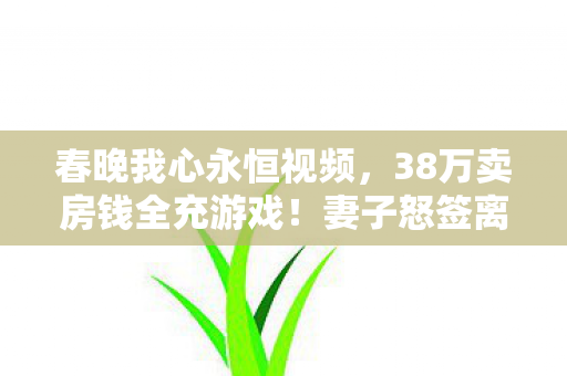 春晚我心永恒视频，38万卖房钱全充游戏！妻子怒签离婚协议，这隐情让人吓一跳！