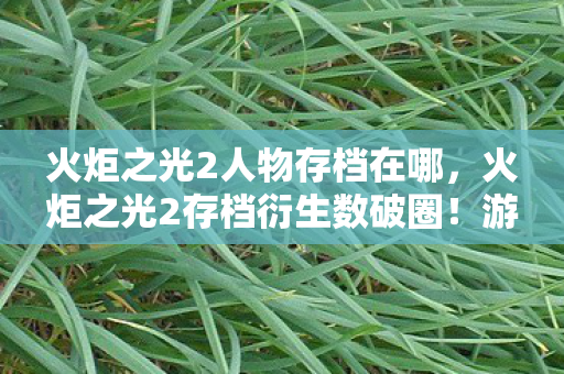 火炬之光2人物存档在哪，火炬之光2存档衍生数破圈！游戏元素竟成意想不到的潮流新宠
