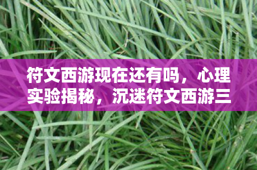 符文西游现在还有吗，心理实验揭秘，沉迷符文西游三年，细思极恐的自我囚禁