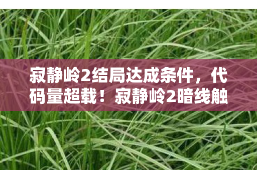 寂静岭2结局达成条件，代码量超载！寂静岭2暗线触发，你的神经末梢正在头皮发麻