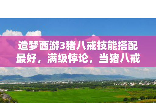 造梦西游3猪八戒技能搭配最好，满级悖论，当猪八戒的盾墙困住2027年的灵魂震颤