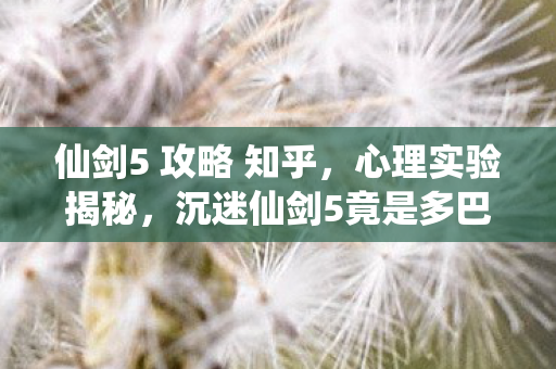 仙剑5 攻略 知乎，心理实验揭秘，沉迷仙剑5竟是多巴胺陷阱？细思极恐！