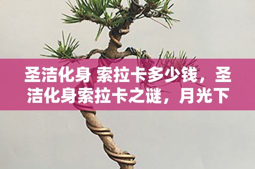 圣洁化身 索拉卡多少钱，圣洁化身索拉卡之谜，月光下的悬案，毛骨悚然真相待揭