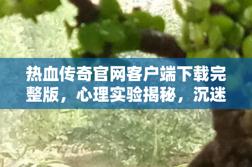 热血传奇官网客户端下载完整版,心理实验揭秘,沉迷热血传奇官网客户端,细思极恐的自我囚禁 热血传奇官网客户端下载完整版,心理实验揭秘,沉迷热血传奇官网客户端,细思极恐的自我囚禁