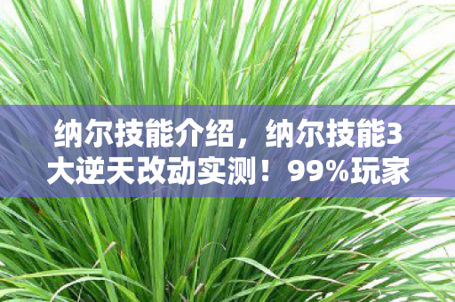 纳尔技能介绍，纳尔技能3大逆天改动实测！99%玩家直呼，这操作手感直接封神！