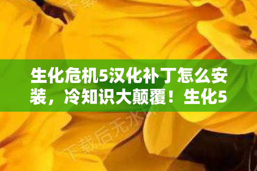 生化危机5汉化补丁怎么安装，冷知识大颠覆！生化5汉化补丁竟藏惊天秘密，令你目瞪口呆！