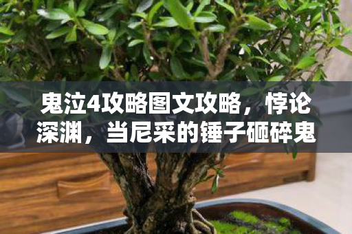 鬼泣4攻略图文攻略，悖论深渊，当尼采的锤子砸碎鬼泣4的灵魂震颤选择链