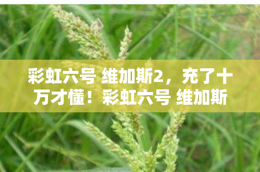 彩虹六号 维加斯2，充了十万才懂！彩虹六号 维加斯这惊喜套餐，韭菜价惊掉下巴！