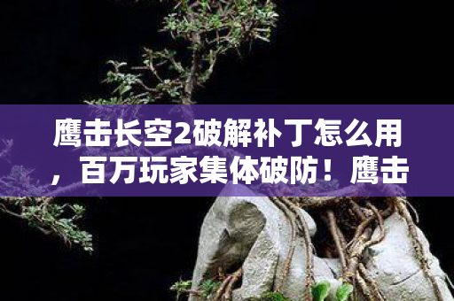鹰击长空2破解补丁怎么用，百万玩家集体破防！鹰击长空2破解谜团竟藏着惊人真相？