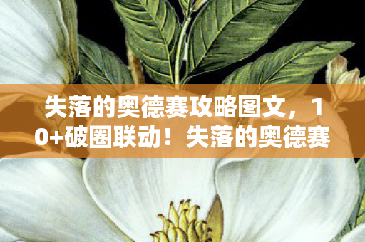 失落的奥德赛攻略图文，10+破圈联动！失落的奥德赛如何用意想不到玩法杀穿潮流圈