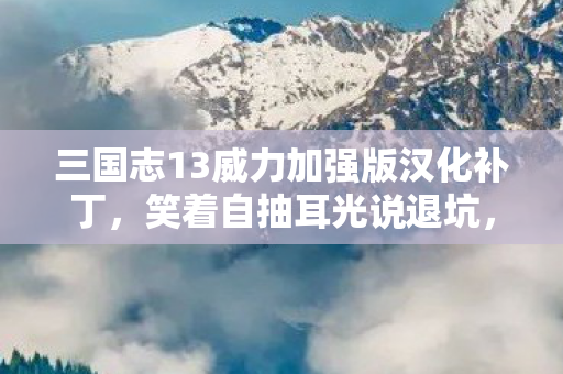 三国志13威力加强版汉化补丁，笑着自抽耳光说退坑，真相揭晓后落差太大，笑着笑着哭了