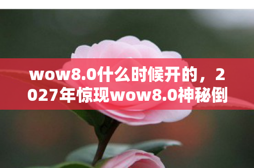 wow8.0什么时候开的，2027年惊现wow8.0神秘倒计时，未报案的连环悬案，谁在暗网操控你的命运？