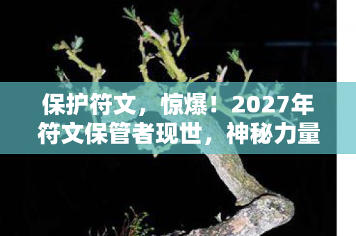 保护符文,惊爆!2027年符文保管者现世,神秘力量竟引发全球恐慌? 保护符文,惊爆!2027年符文保管者现世,神秘力量竟引发全球恐慌?