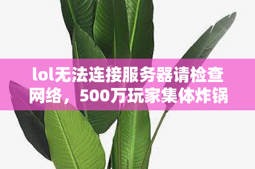 lol无法连接服务器请检查网络,500万玩家集体炸锅!LOL服务器疑遭神秘攻击,这理由绷不住了! lol无法连接服务器请检查网络,500万玩家集体炸锅!LOL服务器疑遭神秘攻击,这理由绷不住了!