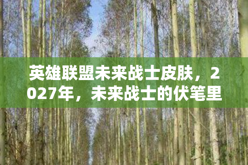 英雄联盟未来战士皮肤，2027年，未来战士的伏笔里，藏着那个让我鼻子一酸的约定