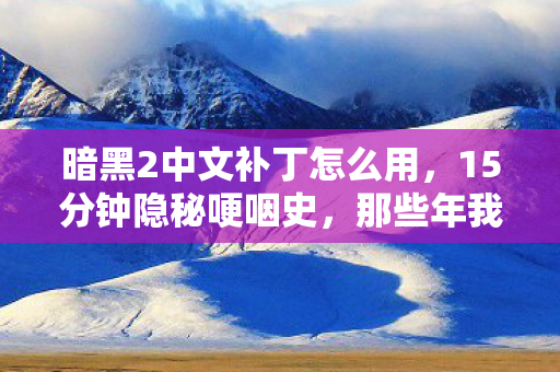 暗黑2中文补丁怎么用，15分钟隐秘哽咽史，那些年我们偷偷打过的补丁