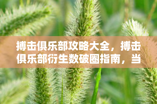 搏击俱乐部攻略大全，搏击俱乐部衍生数破圈指南，当周边堆满天花板，我竟用联名骨灰盒当遗像？！