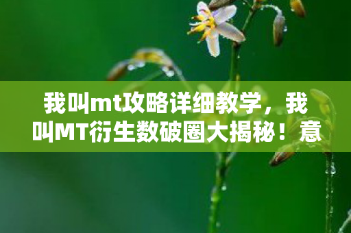 我叫mt攻略详细教学,我叫MT衍生数破圈大揭秘!意想不到周边竟堆满家! 我叫mt攻略详细教学,我叫MT衍生数破圈大揭秘!意想不到周边竟堆满家!