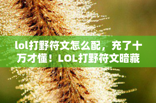 lol打野符文怎么配，充了十万才懂！LOL打野符文暗藏吸血陷阱，这价格吓掉下巴！