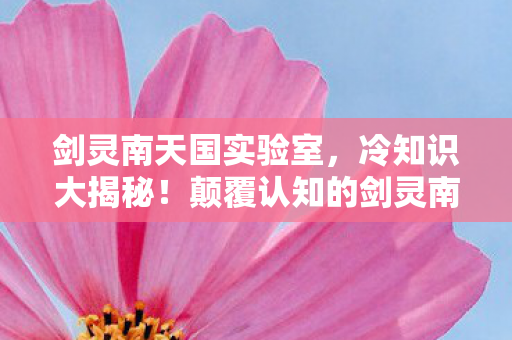 剑灵南天国实验室，冷知识大揭秘！颠覆认知的剑灵南天国设计，让你目瞪口呆！