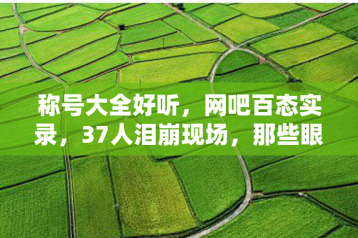 称号大全好听,网吧百态实录,37人泪崩现场,那些眼睛进沙的绷不住时刻 称号大全好听,网吧百态实录,37人泪崩现场,那些眼睛进沙的绷不住时刻