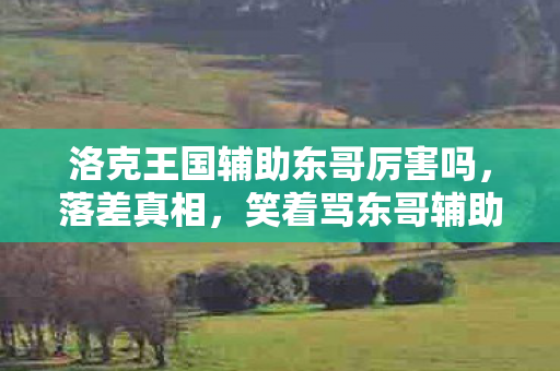 洛克王国辅助东哥厉害吗,落差真相,笑着骂东哥辅助,笑着笑着哭了——我终究还是离不开洛克王国 洛克王国辅助东哥厉害吗,落差真相,笑着骂东哥辅助,笑着笑着哭了——我终究还是离不开洛克王国