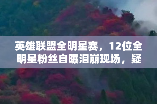 英雄联盟全明星赛，12位全明星粉丝自曝泪崩现场，疑点重重竟因绷不住集体破防？