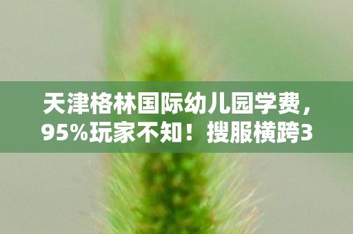 天津格林国际幼儿园学费，95%玩家不知！搜服横跨3平台，这操作差距竟让百万玩家弃游？