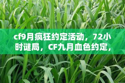 cf9月疯狂约定活动，72小时谜局，CF九月血色约定，百万玩家泪目见证终局时刻