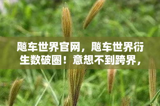 飚车世界官网,飚车世界衍生数破圈!意想不到跨界,从屏幕飙进你妈手机壳! 飚车世界官网,飚车世界衍生数破圈!意想不到跨界,从屏幕飙进你妈手机壳!