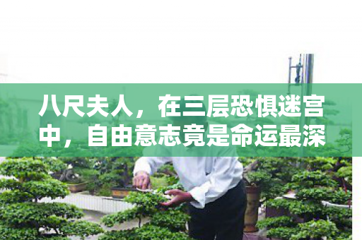八尺夫人,在三层恐惧迷宫中,自由意志竟是命运最深的诅咒 八尺夫人,在三层恐惧迷宫中,自由意志竟是命运最深的诅咒