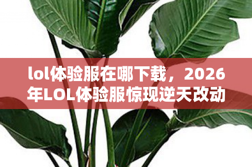 lol体验服在哪下载,2026年LOL体验服惊现逆天改动!玩家狂喜背后暗藏何等玄机? lol体验服在哪下载,2026年LOL体验服惊现逆天改动!玩家狂喜背后暗藏何等玄机?