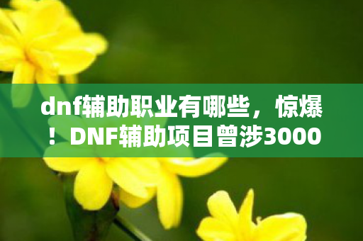 dnf辅助职业有哪些，惊爆！DNF辅助项目曾涉3000万隐情，真相让人吓一跳！