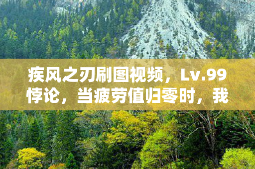 疾风之刃刷图视频，Lv.99悖论，当疲劳值归零时，我的灵魂仍在震颤