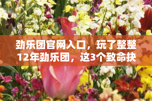 劲乐团官网入口,玩了整整12年劲乐团,这3个致命抉择让我至今难以释怀! 劲乐团官网入口,玩了整整12年劲乐团,这3个致命抉择让我至今难以释怀!