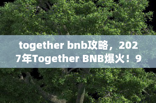 together bnb攻略,2027年Together BNB爆火!99%人不知的暗夜真相,你敢揭吗? together bnb攻略,2027年Together BNB爆火!99%人不知的暗夜真相,你敢揭吗?