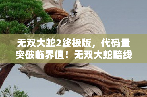 无双大蛇2终极版，代码量突破临界值！无双大蛇暗线觉醒，当你的操作让AI头皮发麻