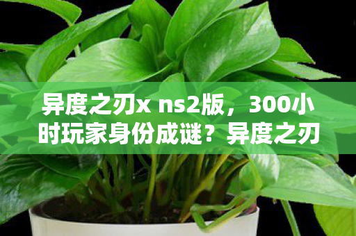 异度之刃x ns2版，300小时玩家身份成谜？异度之刃X多平台漂泊者的心酸独白