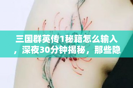 三国群英传1秘籍怎么输入,深夜30分钟揭秘,那些隐秘代码里藏着的哽咽青春 三国群英传1秘籍怎么输入,深夜30分钟揭秘,那些隐秘代码里藏着的哽咽青春